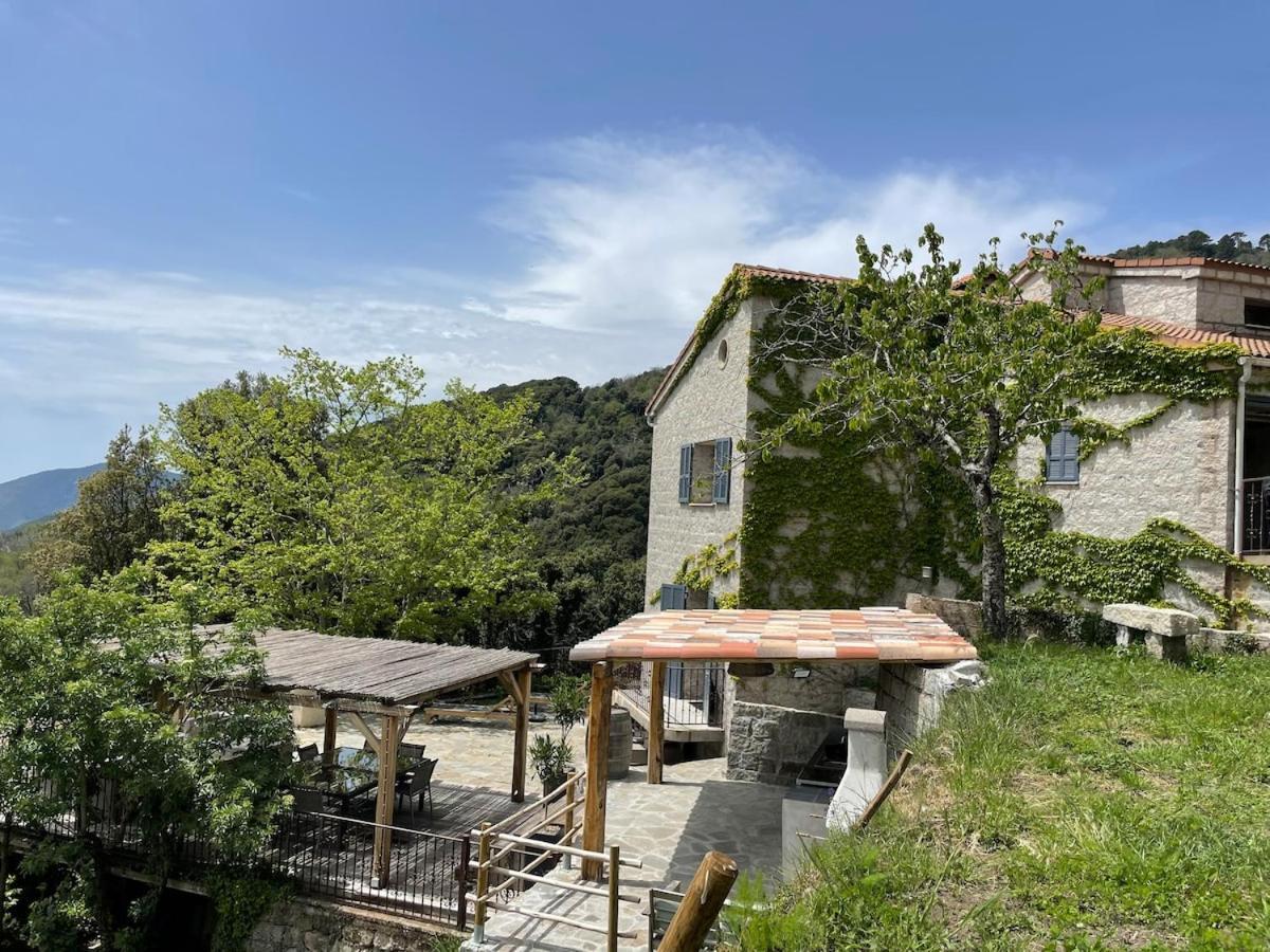 Sud-Corse Bavella Location Montagne Et Mer Sorbollano Exterior photo